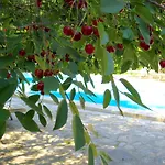 Hotel Kalehan