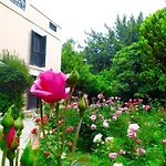 Kalehan 2* Selçuk