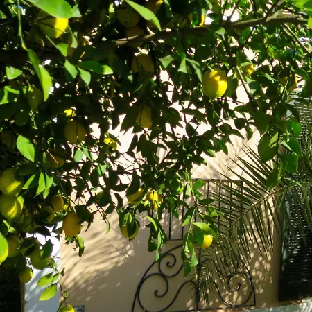 Kalehan Hotel Selçuk