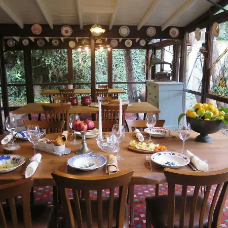 酒店 卡乐涵酒店 塞尔丘克