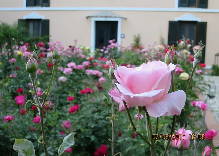 Kalehan Otel Selçuk