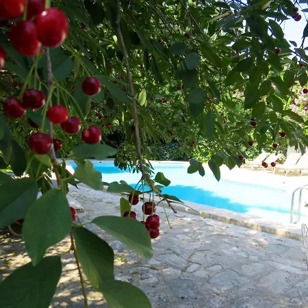 Отель Kalehan 2*