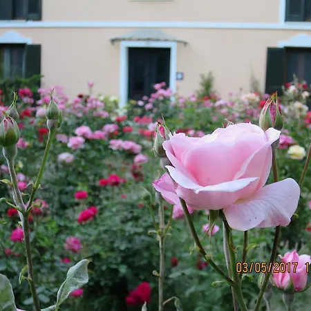 Kalehan Hotel Selcuk